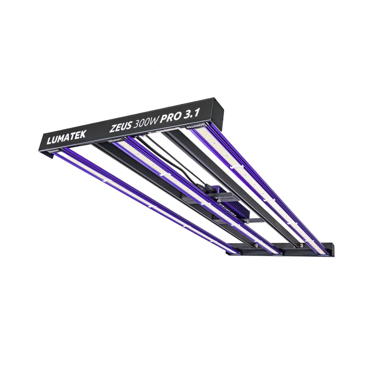 ZEUS 300 w PRO 3.1 - Image 2